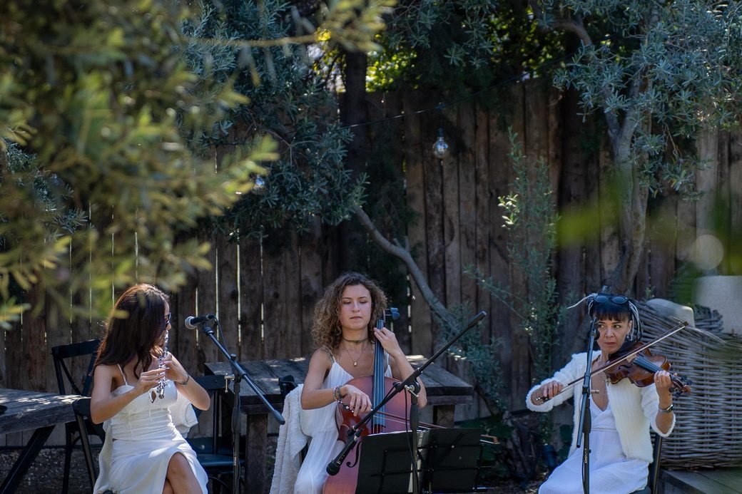 Canlı müzik performansı